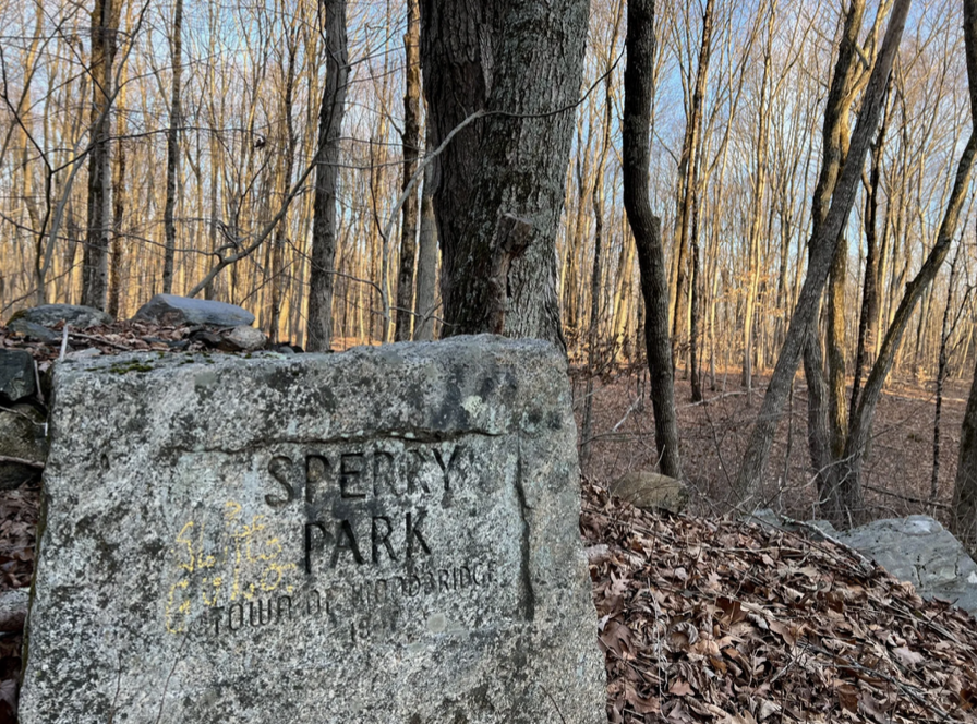Sperry Park stone marker in the woods